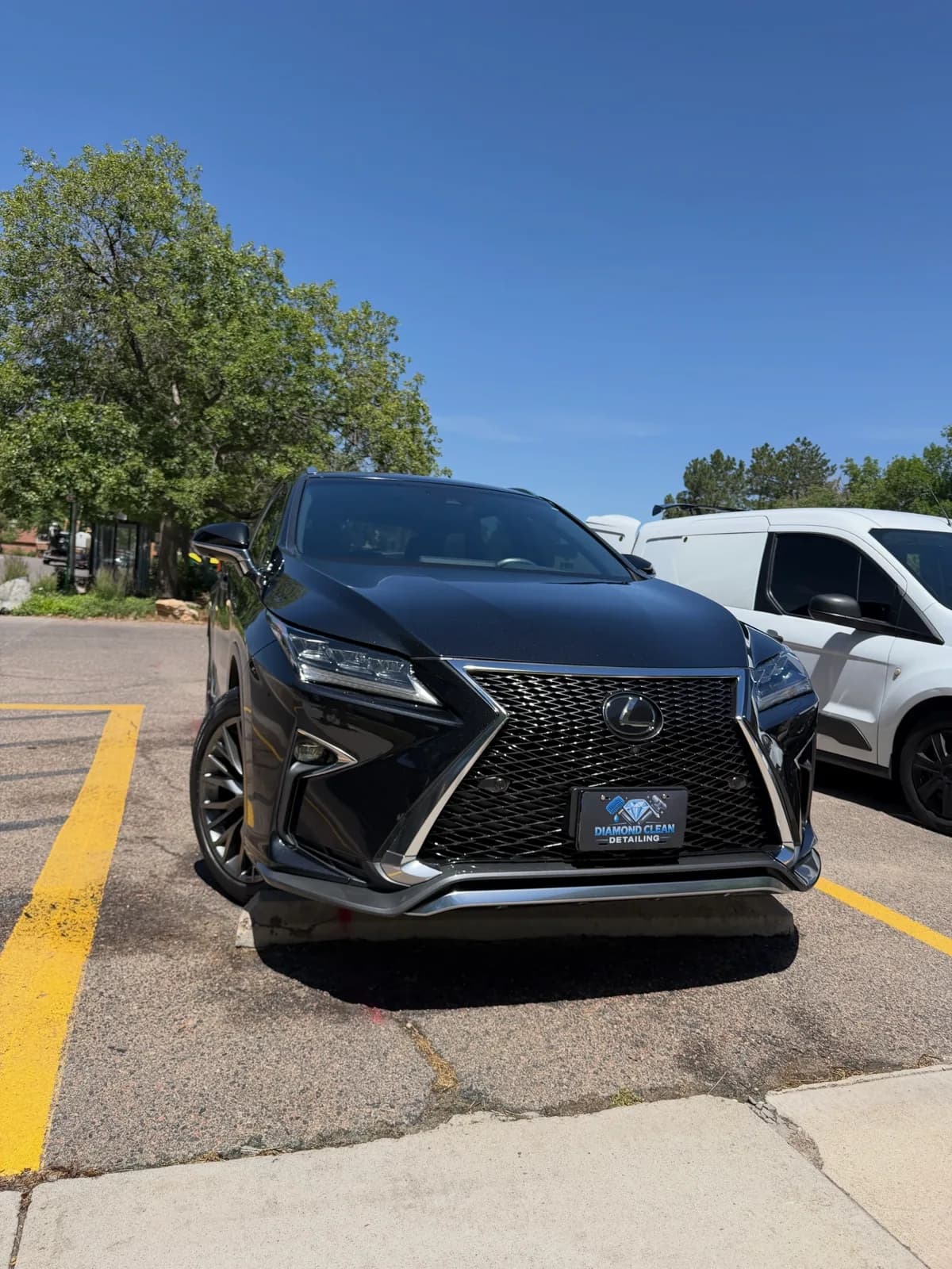 The Diamond Detail Pro — Lexus RX