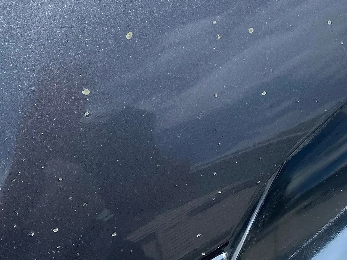 Dozens of small light-coloured stone chips scattered across the grey metallic paint of a car's hood, beside the headlight